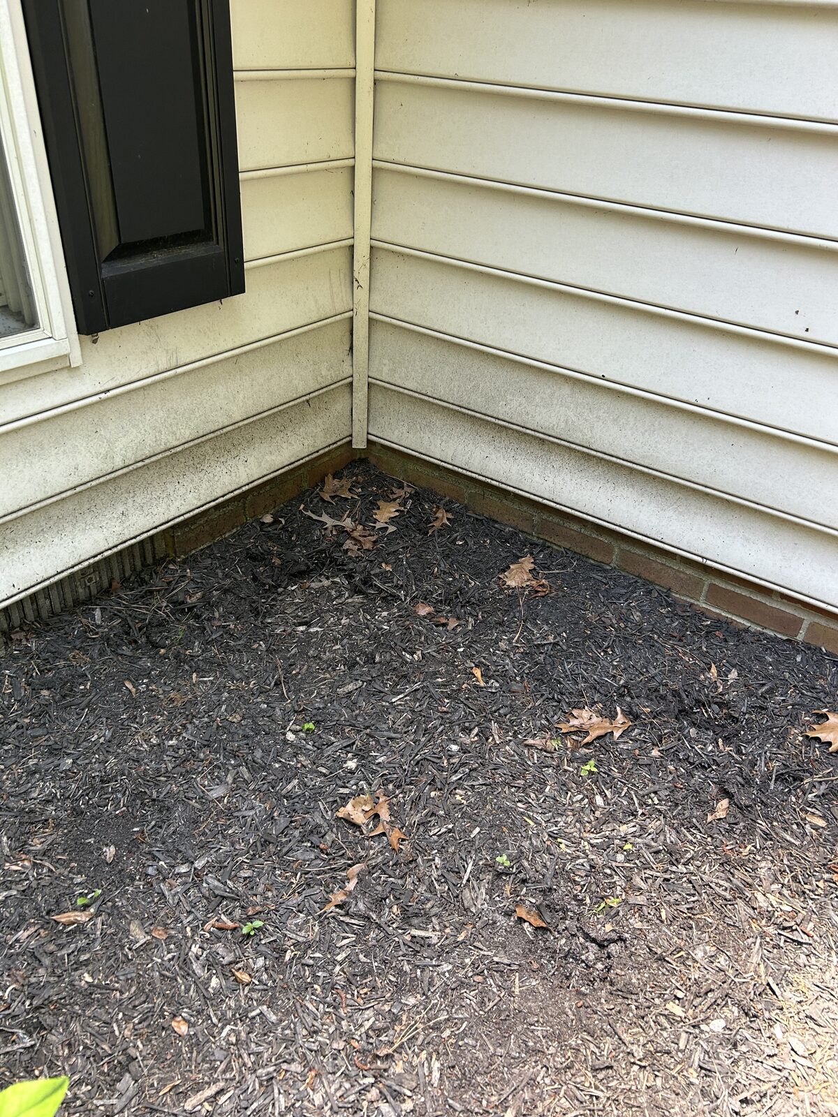 Dirty siding corner with streaks and debris before cleaning