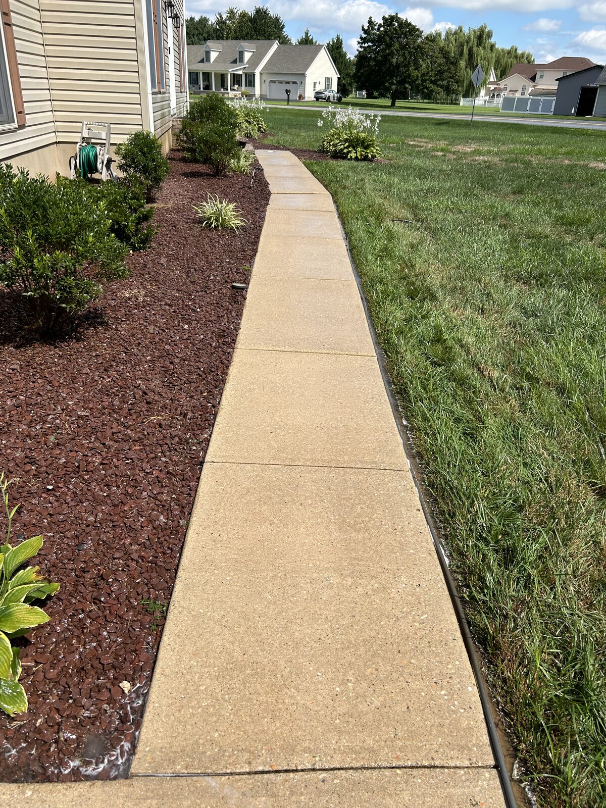 Clean concrete sidewalk after professional pressure washing in Delaware